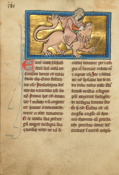 Samson Fighting a Lion by Unbekannt Unbekannt